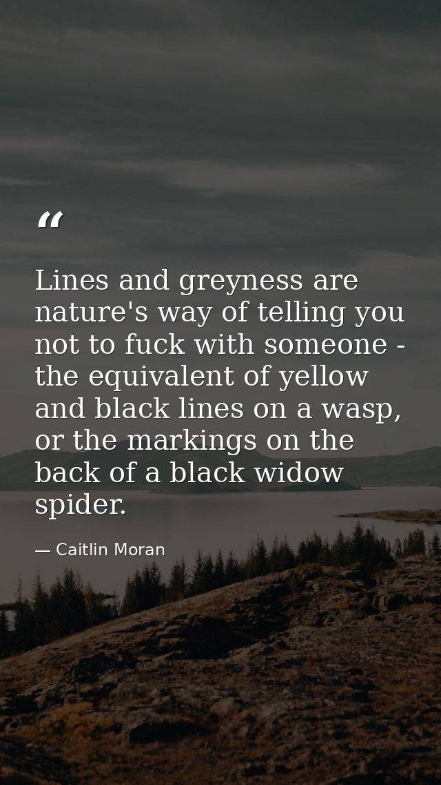 Lines and greyness are nature's way of telling you not to fuck with someone - the equivalent of yellow and black lines o — Caitlin Moran