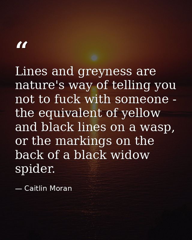 Lines and greyness are nature's way of telling you not to fuck with someone - the equivalent of yellow and black lines o — Caitlin Moran