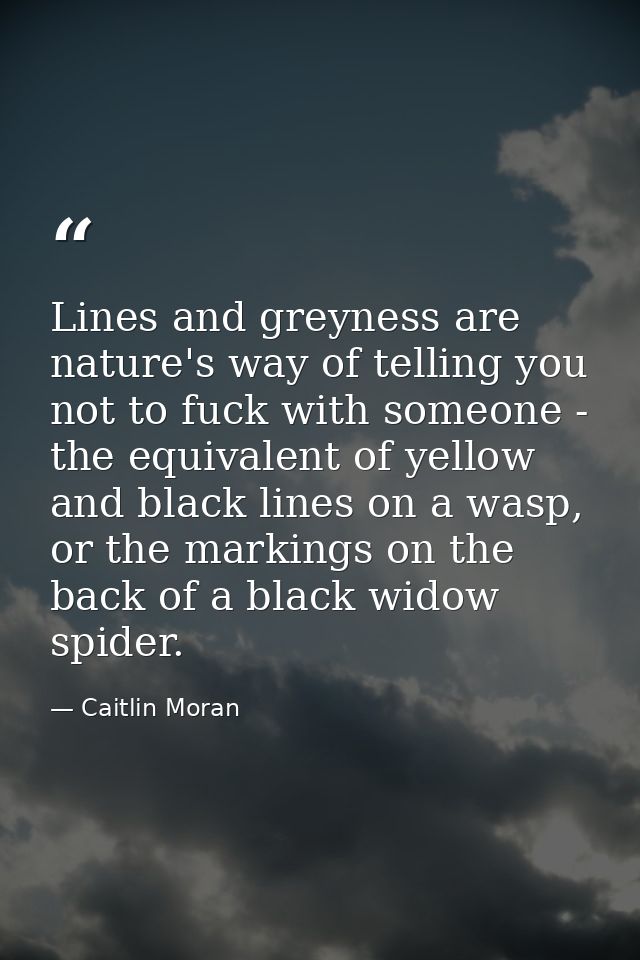 Lines and greyness are nature's way of telling you not to fuck with someone - the equivalent of yellow and black lines o — Caitlin Moran