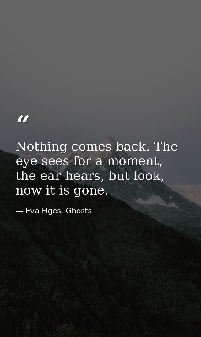 Nothing comes back. The eye sees for a moment, the ear hears, but look, now it is gone. — Eva Figes, Ghosts