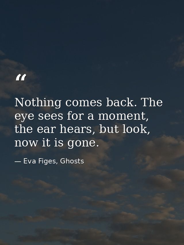 Nothing comes back. The eye sees for a moment, the ear hears, but look, now it is gone. — Eva Figes, Ghosts