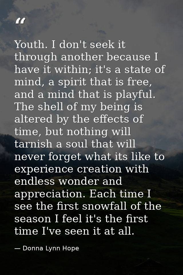 Youth. I don't seek it through another because I have it within; it's a state of mind, a spirit that is free, and a mind — Donna Lynn Hope