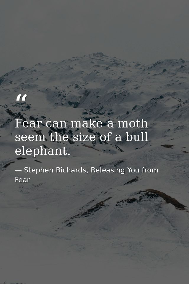 Fear can make a moth seem the size of a bull elephant. — Stephen Richards, Releasing You from Fear