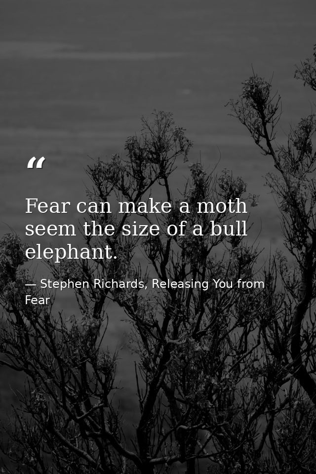 Fear can make a moth seem the size of a bull elephant. — Stephen Richards, Releasing You from Fear