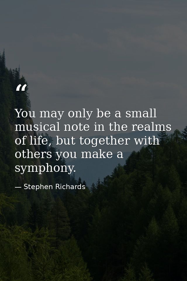 You may only be a small musical note in the realms of life, but together with others you make a symphony. — Stephen Richards