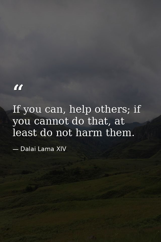 If you can, help others; if you cannot do that, at least do not harm them. — Dalai Lama XIV