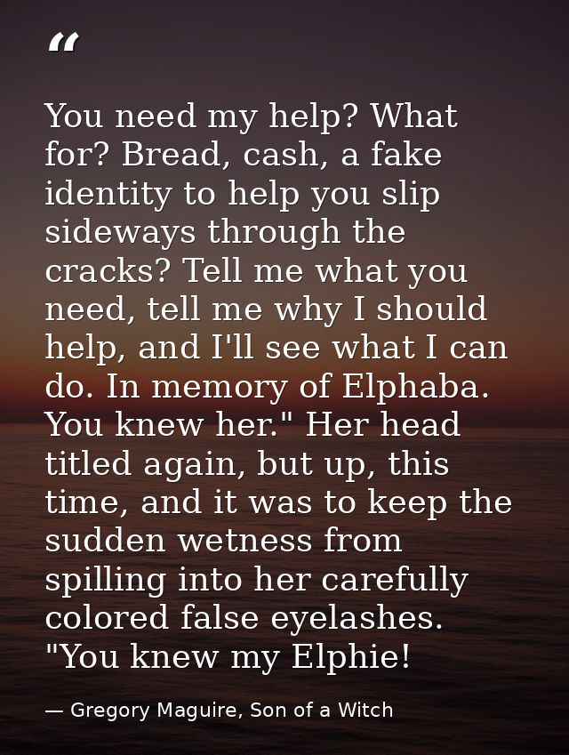 You need my help? What for? Bread, cash, a fake identity to help you slip sideways through the cracks? Tell me what you  — Gregory Maguire, Son of a Witch