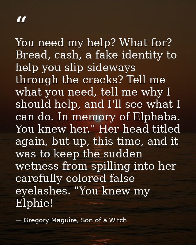 You need my help? What for? Bread, cash, a fake identity to help you slip sideways through the cracks? Tell me what you  — Gregory Maguire, Son of a Witch