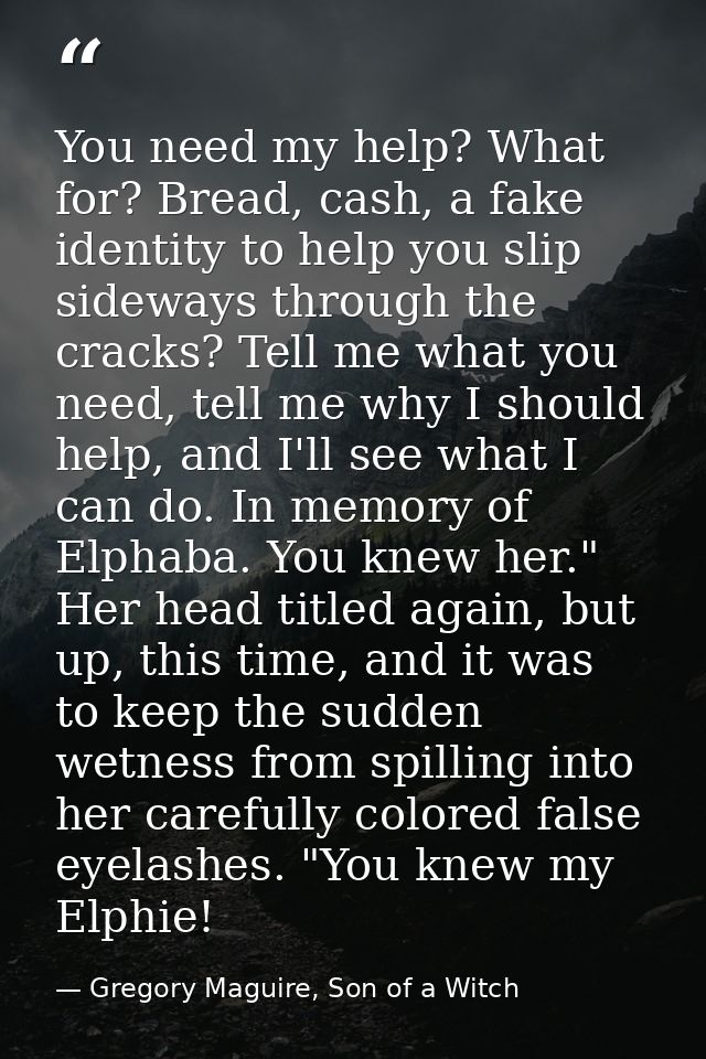 You need my help? What for? Bread, cash, a fake identity to help you slip sideways through the cracks? Tell me what you  — Gregory Maguire, Son of a Witch
