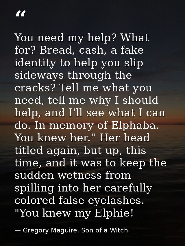 You need my help? What for? Bread, cash, a fake identity to help you slip sideways through the cracks? Tell me what you  — Gregory Maguire, Son of a Witch