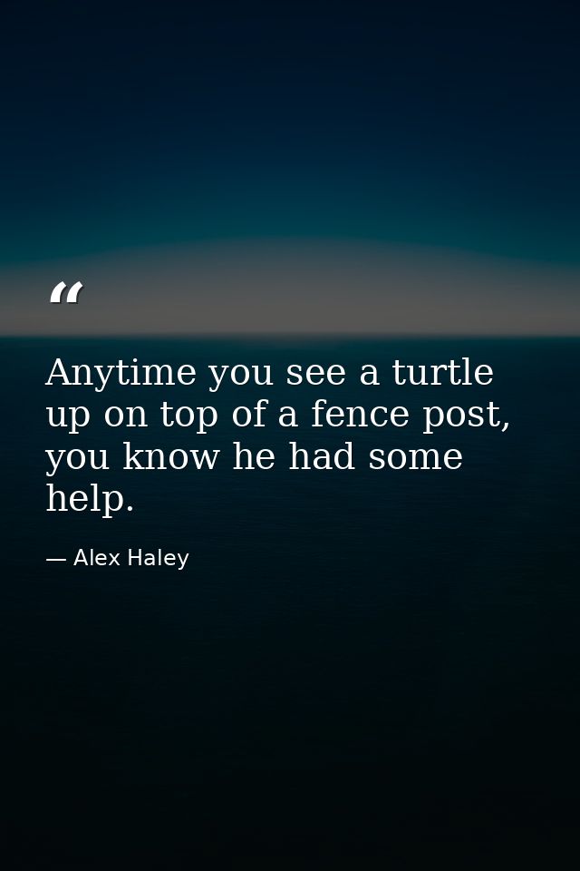 Anytime you see a turtle up on top of a fence post, you know he had some help. — Alex Haley