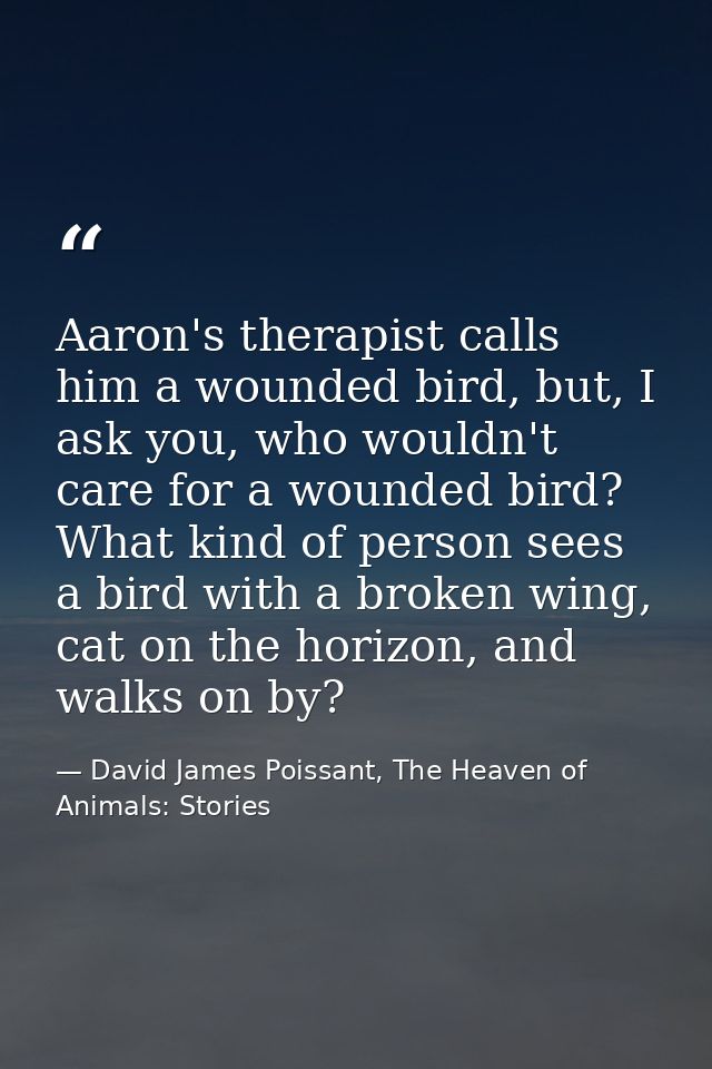Aaron's therapist calls him a wounded bird, but, I ask you, who wouldn't care for a wounded bird? What kind of person se — David James Poissant, The Heaven of Animals: Stories