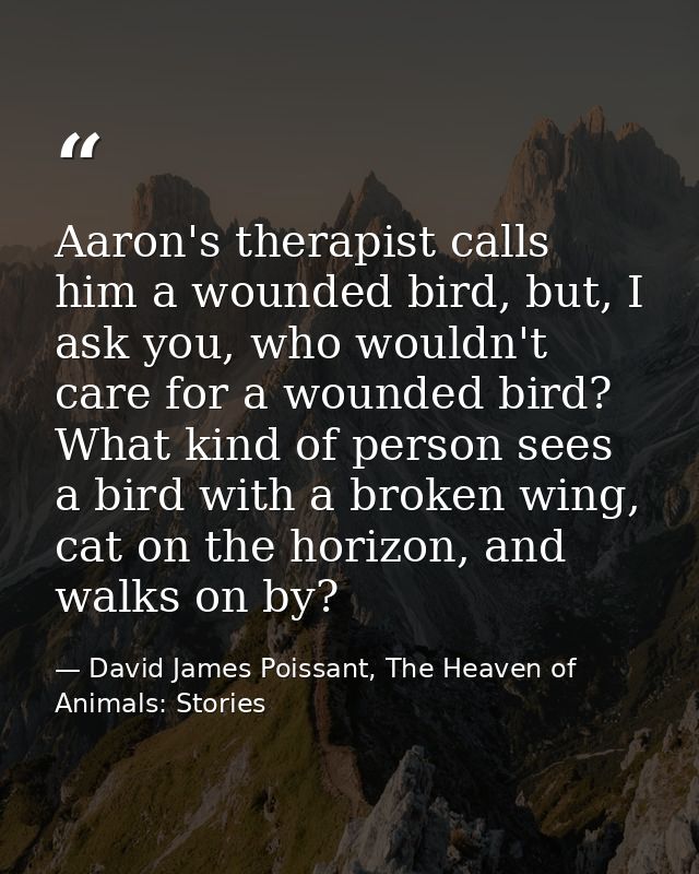 Aaron's therapist calls him a wounded bird, but, I ask you, who wouldn't care for a wounded bird? What kind of person se — David James Poissant, The Heaven of Animals: Stories