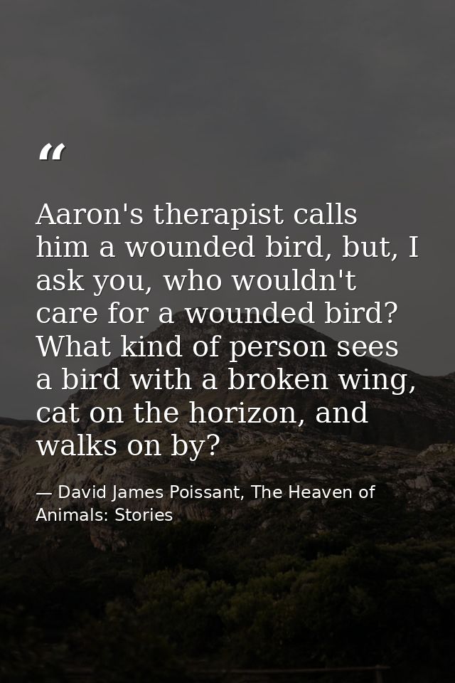 Aaron's therapist calls him a wounded bird, but, I ask you, who wouldn't care for a wounded bird? What kind of person se — David James Poissant, The Heaven of Animals: Stories