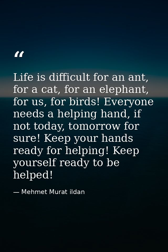 Life is difficult for an ant, for a cat, for an elephant, for us, for birds! Everyone needs a helping hand, if not today — Mehmet Murat ildan
