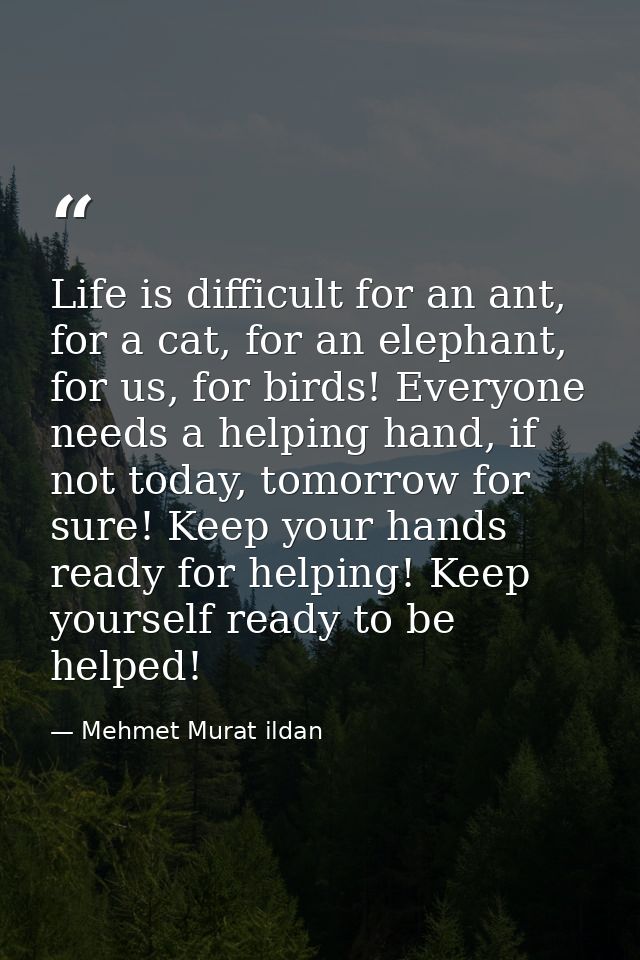 Life is difficult for an ant, for a cat, for an elephant, for us, for birds! Everyone needs a helping hand, if not today — Mehmet Murat ildan