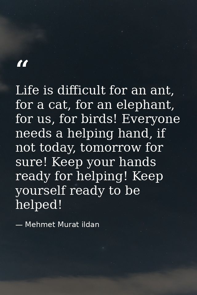 Life is difficult for an ant, for a cat, for an elephant, for us, for birds! Everyone needs a helping hand, if not today — Mehmet Murat ildan