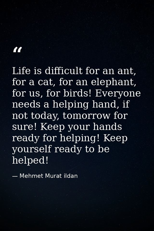 Life is difficult for an ant, for a cat, for an elephant, for us, for birds! Everyone needs a helping hand, if not today — Mehmet Murat ildan