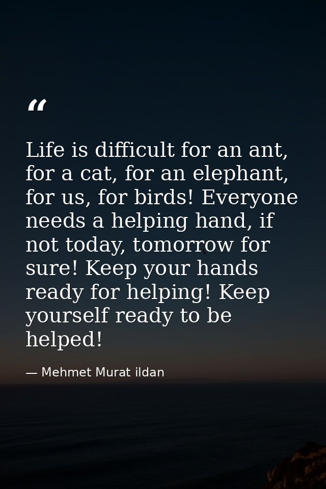 Life is difficult for an ant, for a cat, for an elephant, for us, for birds! Everyone needs a helping hand, if not today — Mehmet Murat ildan
