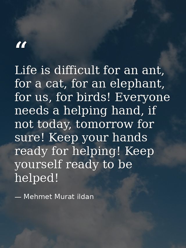 Life is difficult for an ant, for a cat, for an elephant, for us, for birds! Everyone needs a helping hand, if not today — Mehmet Murat ildan