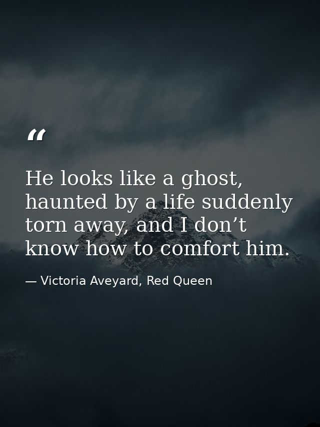 He looks like a ghost, haunted by a life suddenly torn away, and I don’t know how to comfort him. — Victoria Aveyard, Red Queen