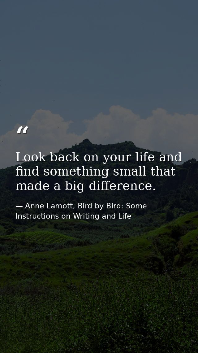 Look back on your life and find something small that made a big difference. — Anne Lamott, Bird by Bird: Some Instructions on Writing and Life