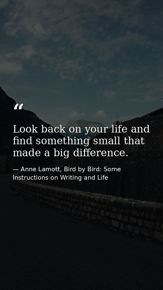 Look back on your life and find something small that made a big difference. — Anne Lamott, Bird by Bird: Some Instructions on Writing and Life