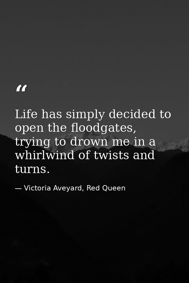 Life has simply decided to open the floodgates, trying to drown me in a whirlwind of twists and turns. — Victoria Aveyard, Red Queen