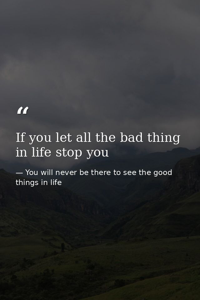 If you let all the bad thing in life stop you — You will never be there to see the good things in life