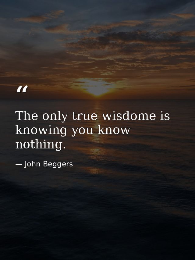 The only true wisdome is knowing you know nothing. — John Beggers