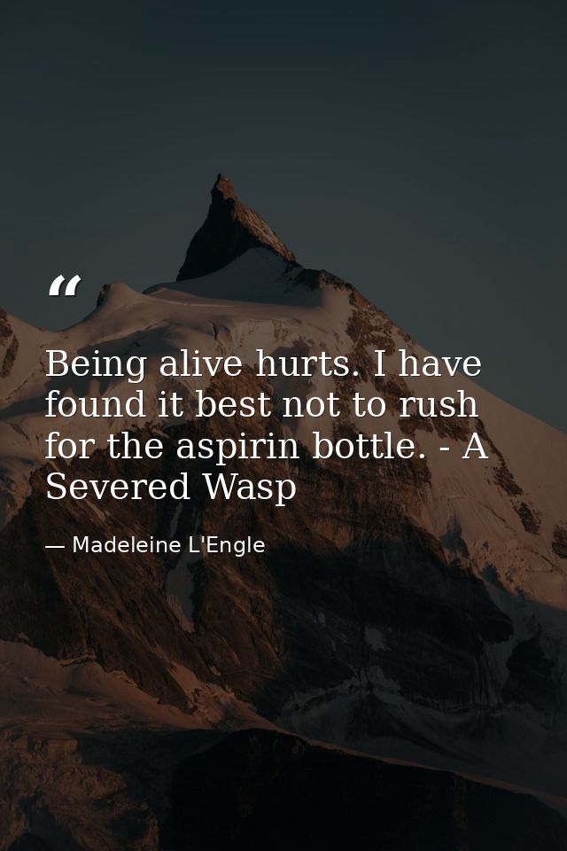 Being alive hurts. I have found it best not to rush for the aspirin bottle. - A Severed Wasp — Madeleine L'Engle