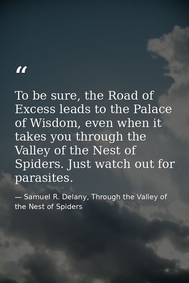 To be sure, the Road of Excess leads to the Palace of Wisdom, even when it takes you through the Valley of the Nest of S — Samuel R. Delany, Through the Valley of the Nest of Spiders