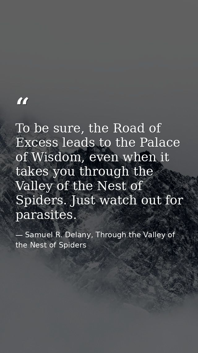 To be sure, the Road of Excess leads to the Palace of Wisdom, even when it takes you through the Valley of the Nest of S — Samuel R. Delany, Through the Valley of the Nest of Spiders