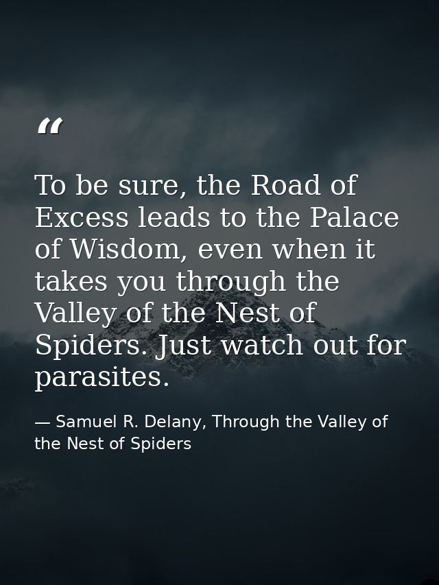 To be sure, the Road of Excess leads to the Palace of Wisdom, even when it takes you through the Valley of the Nest of S — Samuel R. Delany, Through the Valley of the Nest of Spiders