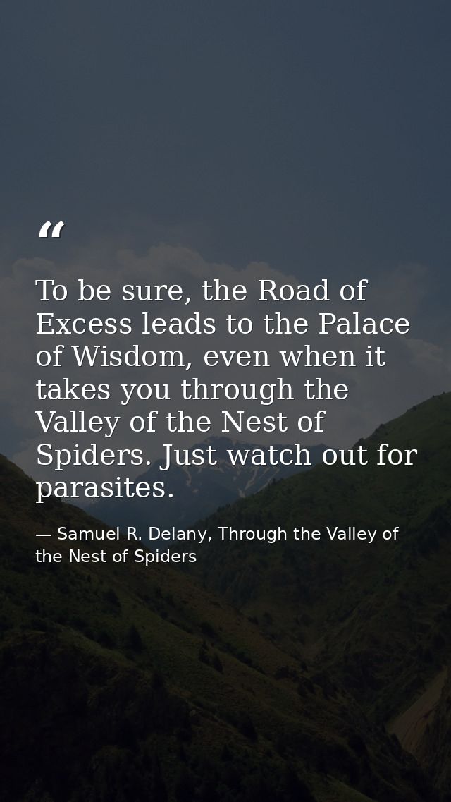 To be sure, the Road of Excess leads to the Palace of Wisdom, even when it takes you through the Valley of the Nest of S — Samuel R. Delany, Through the Valley of the Nest of Spiders