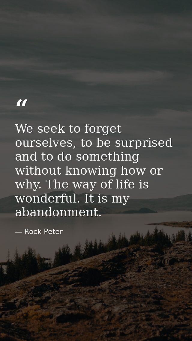 We seek to forget ourselves, to be surprised and to do something without knowing how or why. The way of life is wonderfu — Rock Peter