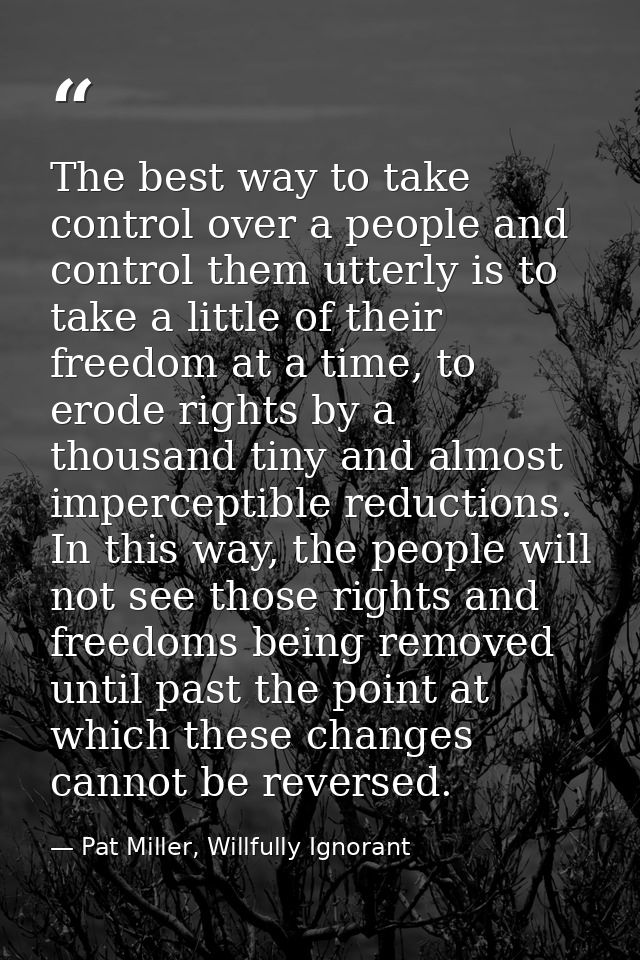 The best way to take control over a people and control them utterly is to take a little of their freedom at a time, to e — Pat Miller, Willfully Ignorant