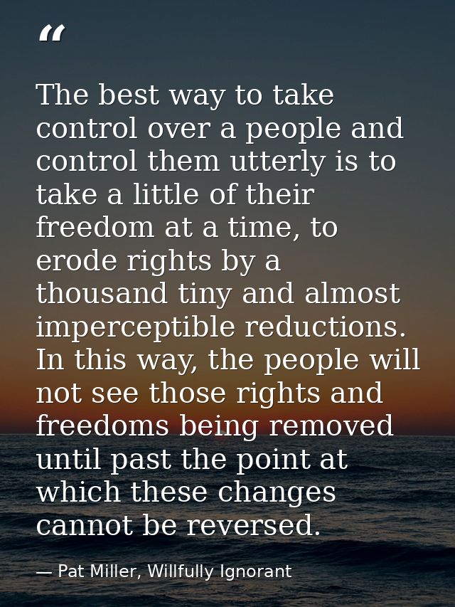 The best way to take control over a people and control them utterly is to take a little of their freedom at a time, to e — Pat Miller, Willfully Ignorant