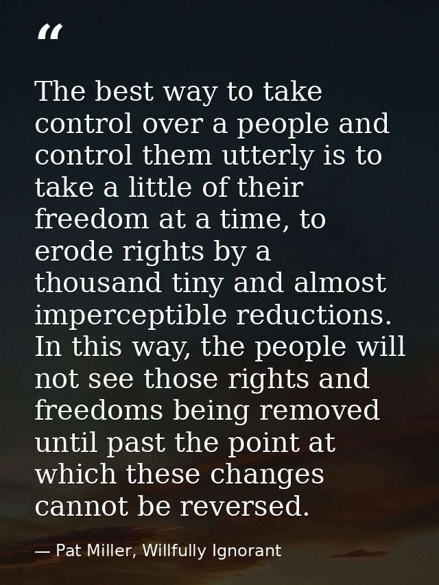 The best way to take control over a people and control them utterly is to take a little of their freedom at a time, to e — Pat Miller, Willfully Ignorant