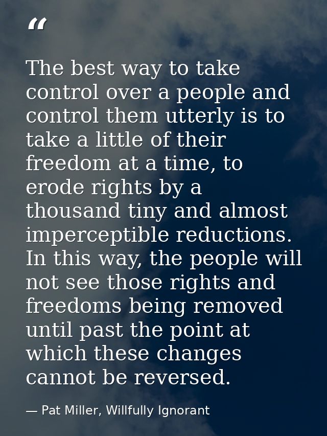 The best way to take control over a people and control them utterly is to take a little of their freedom at a time, to e — Pat Miller, Willfully Ignorant