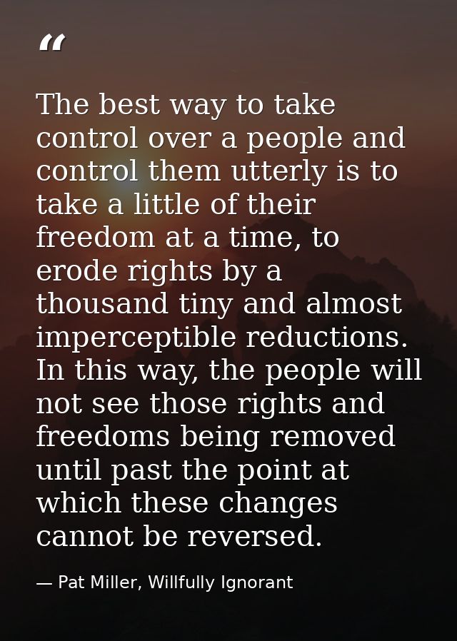 The best way to take control over a people and control them utterly is to take a little of their freedom at a time, to e — Pat Miller, Willfully Ignorant