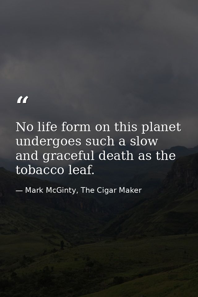 No life form on this planet undergoes such a slow and graceful death as the tobacco leaf. — Mark McGinty, The Cigar Maker