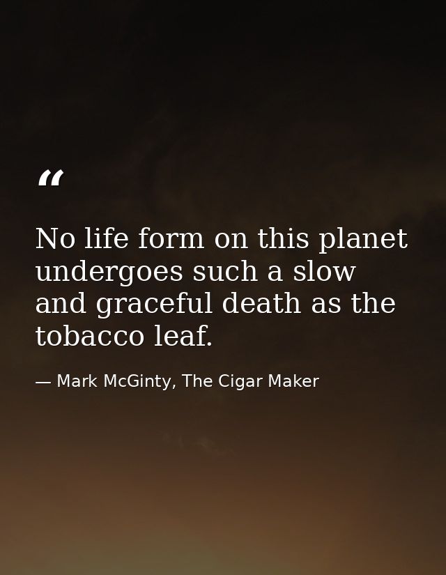 No life form on this planet undergoes such a slow and graceful death as the tobacco leaf. — Mark McGinty, The Cigar Maker