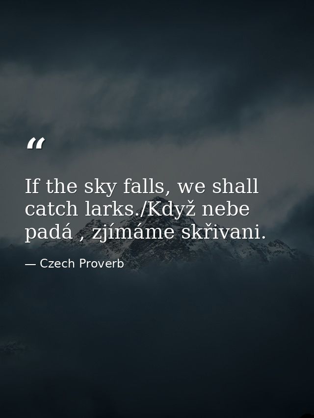 If the sky falls, we shall catch larks./Když nebe padá , zjímáme skřivani. — Czech Proverb