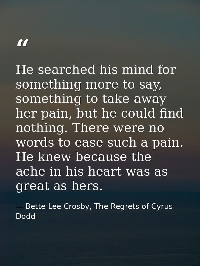 He searched his mind for something more to say, something to take away her pain, but he could find nothing. There were n — Bette Lee Crosby, The Regrets of Cyrus Dodd