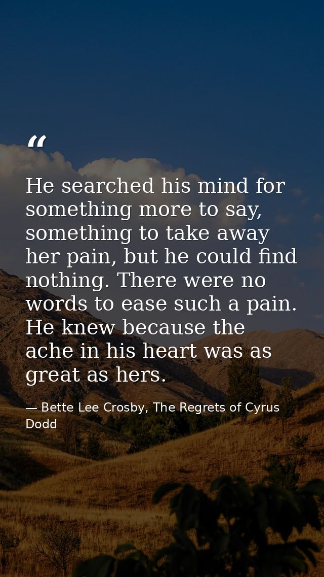 He searched his mind for something more to say, something to take away her pain, but he could find nothing. There were n — Bette Lee Crosby, The Regrets of Cyrus Dodd