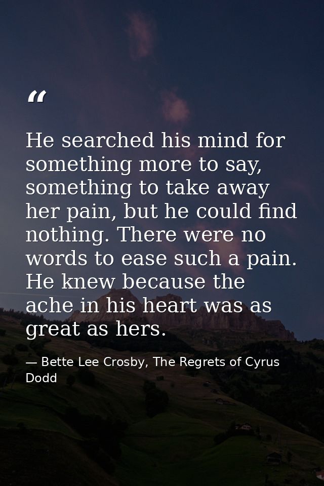 He searched his mind for something more to say, something to take away her pain, but he could find nothing. There were n — Bette Lee Crosby, The Regrets of Cyrus Dodd