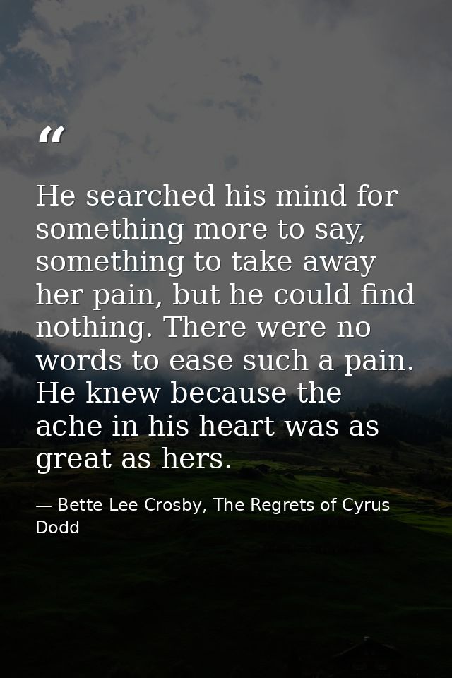 He searched his mind for something more to say, something to take away her pain, but he could find nothing. There were n — Bette Lee Crosby, The Regrets of Cyrus Dodd