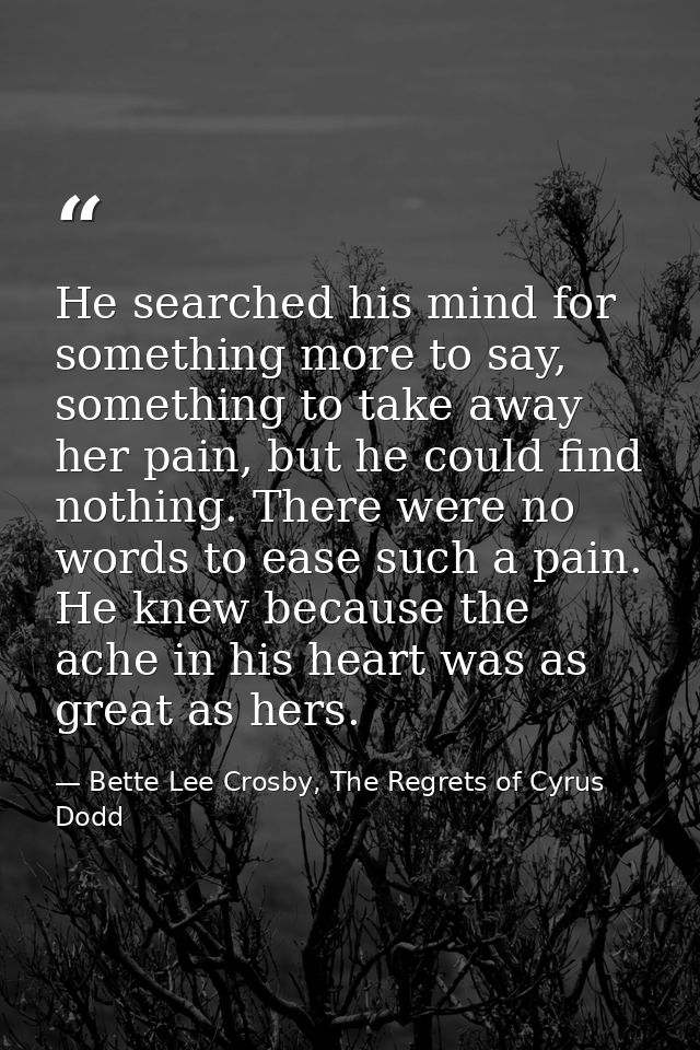 He searched his mind for something more to say, something to take away her pain, but he could find nothing. There were n — Bette Lee Crosby, The Regrets of Cyrus Dodd