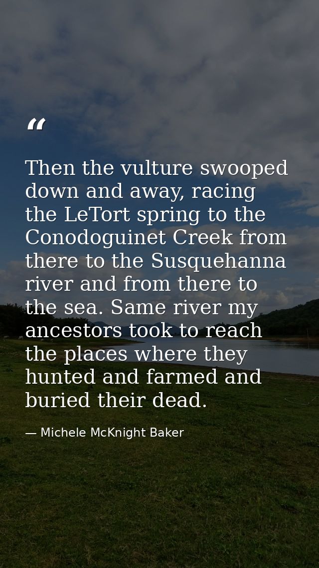 Then the vulture swooped down and away, racing the LeTort spring to the Conodoguinet Creek from there to the Susquehanna — Michele McKnight Baker